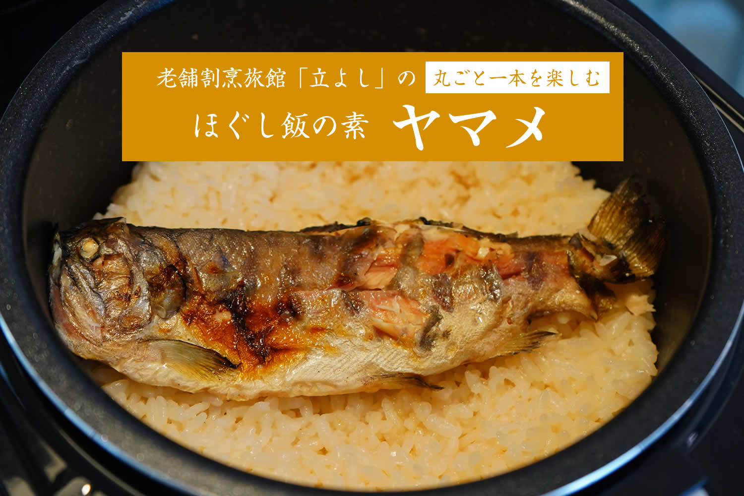 割烹立よしの【ほぐし飯の素】丸ごと一本を楽しむ「ヤマメ」